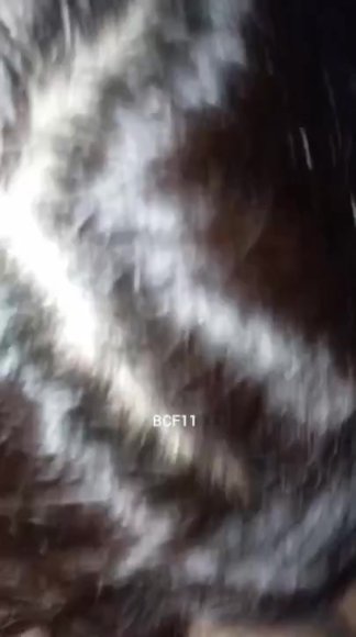 Bali couple fun Telegram @arsip_warga62 4