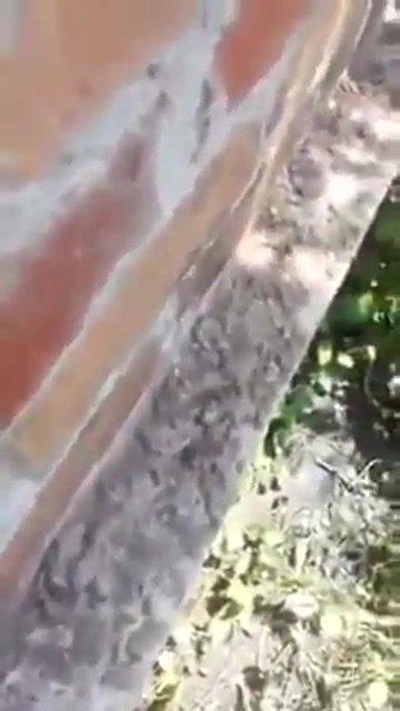 Ngintip anak anak olahraga