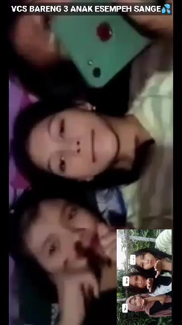 Vcs 3 0c1l smp sagne(29svS1)