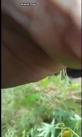 Kakek Tukang Kebun di prank