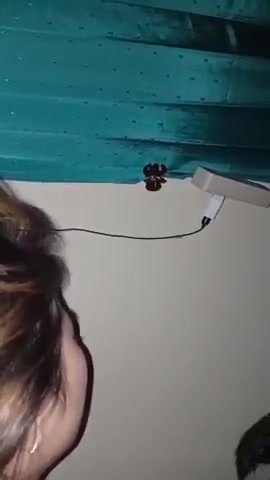 jihan sma (3) bisa di bungkus [ TG @doodstreamRedLion ]