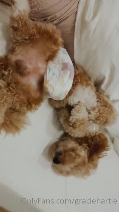 Gracie Hartie x msbreewc (10) TG @doodstreamRedLion