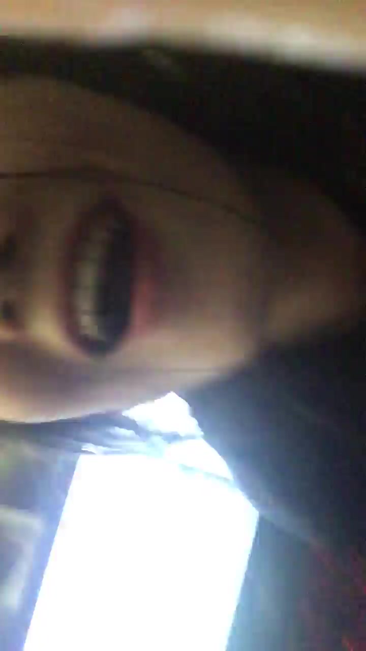 indo cindo sama bule (3) - [ Telegram @doodstreamRedLion ]