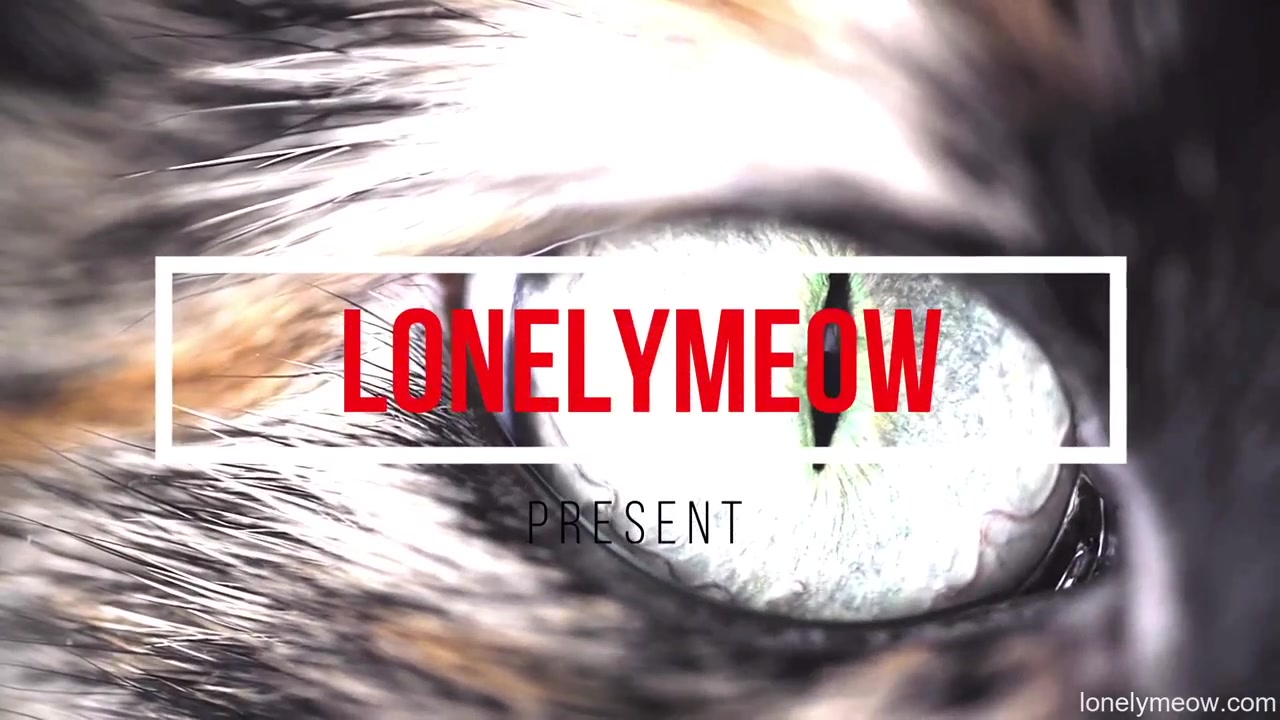 of lonely meow china (1) TG @doodstreamredlion