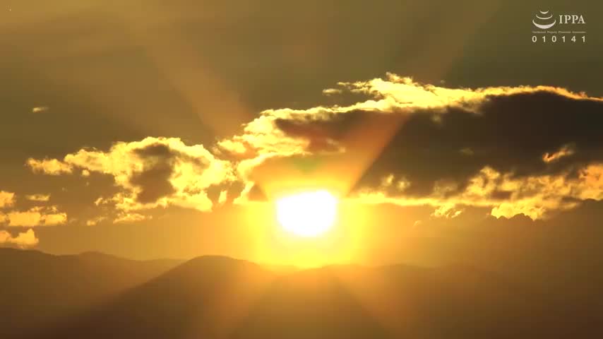 Sahabat Ibu sara futaba 