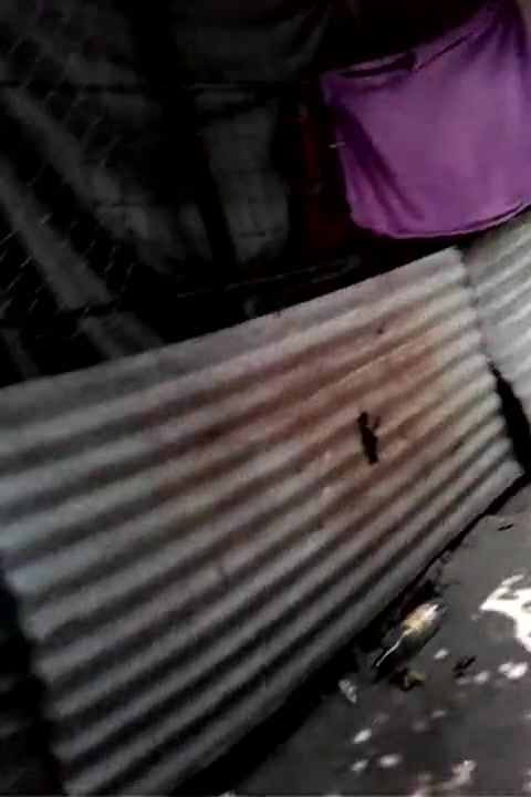 kakek dengan anak ttri